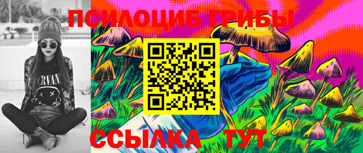 Мценск  Псилоцибиновые грибы мицелий  Вход с VPN  Галлюциногенные грибы прущие грибы 